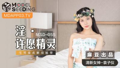 国产麻豆AV MSD MSD055 淫 许愿精灵 袁子仪海报剧照